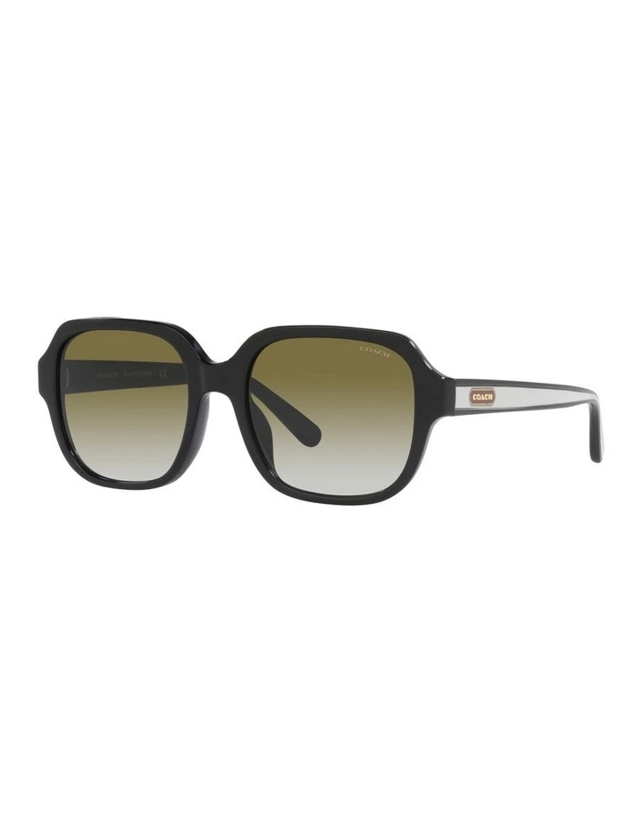 HC8335U C7989 Black Sunglasses