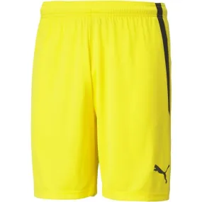 Puma TEAM LIGA SHORTS