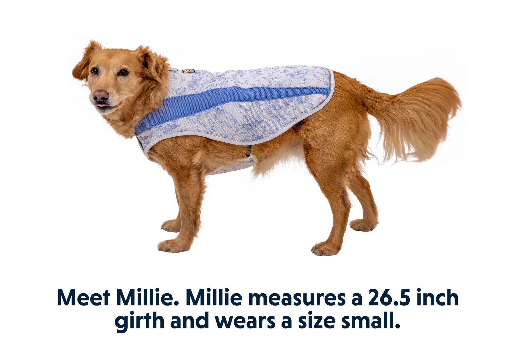 RP - Swamp Cooler Cooling Dog Vest